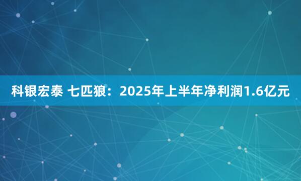科银宏泰 七匹狼：2025年上半年净利润1.6亿元