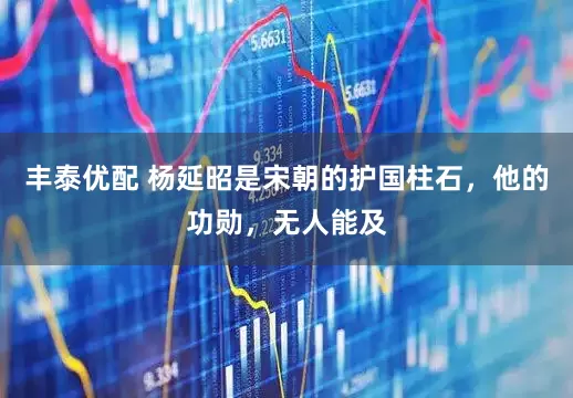 丰泰优配 杨延昭是宋朝的护国柱石，他的功勋，无人能及