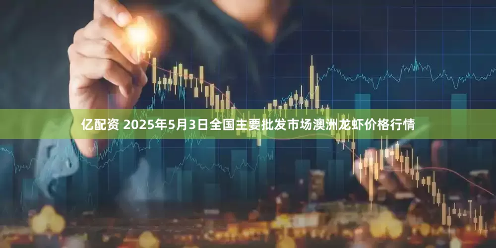亿配资 2025年5月3日全国主要批发市场澳洲龙虾价格行情